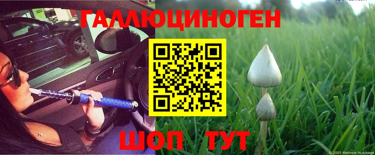 Галлюциногенные грибы Psilocybe Краснокамск
